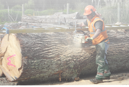 Milling large log