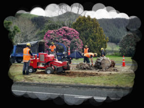 stump grinding