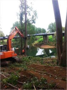 Removing heavy leaners in Paeroa