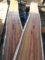 wooden planks and slabs at SBS